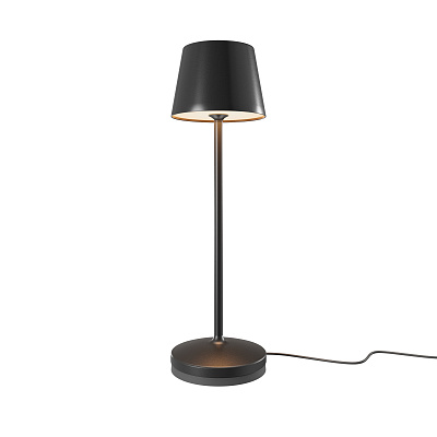 Лампа настольная Maytoni Nook MOD494RL-L1BK