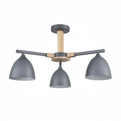 Люстра на штанге LUMION COLANGE 8096/3C