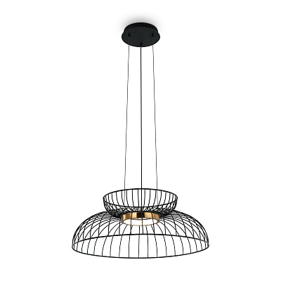 Подвесная люстра Freya Citrus / Цитрус FR5398PL-L6B