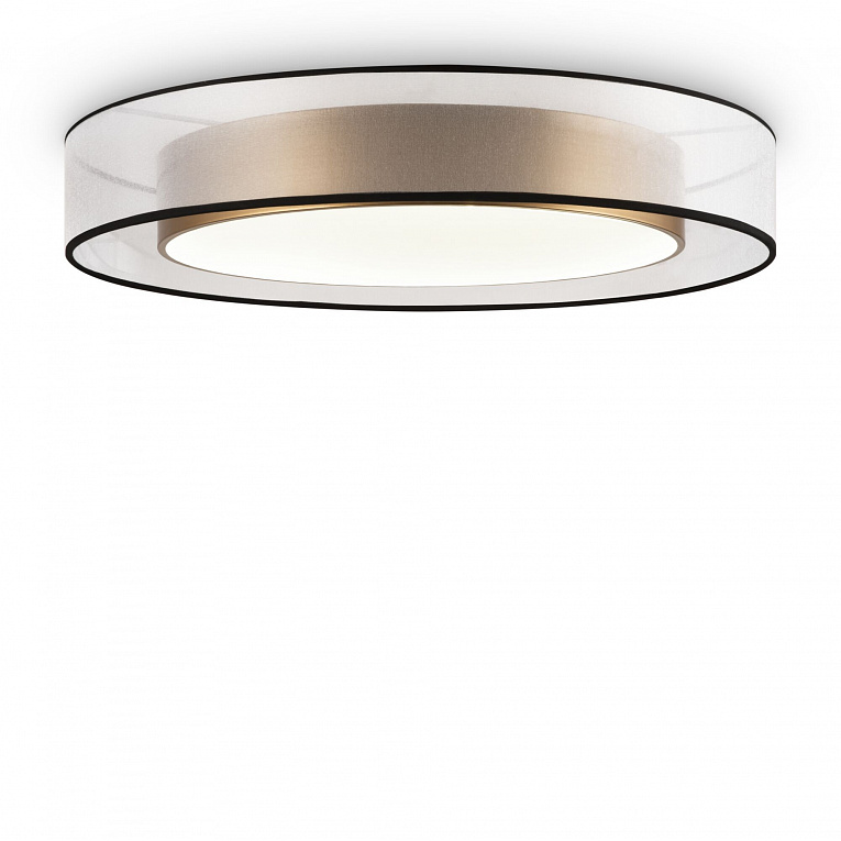 Накладная люстра Freya Zoticus / Зотикус FR6005CL-L48G
